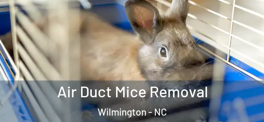 Air Duct Mice Removal Wilmington - NC