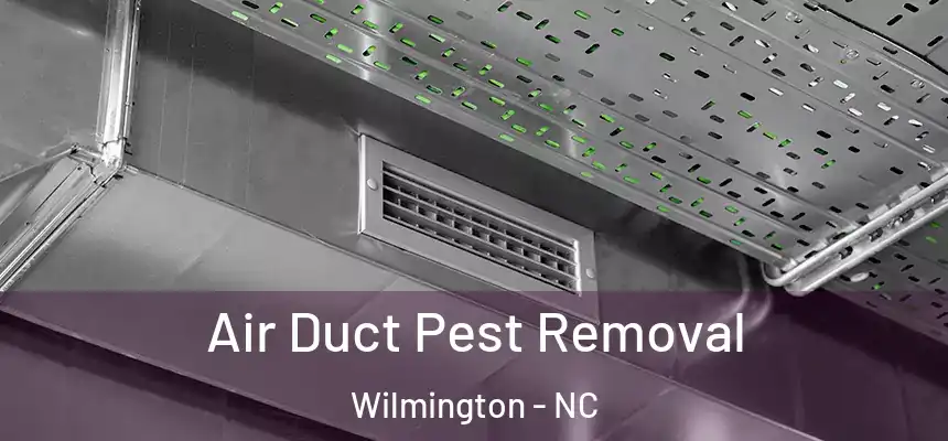 Air Duct Pest Removal Wilmington - NC