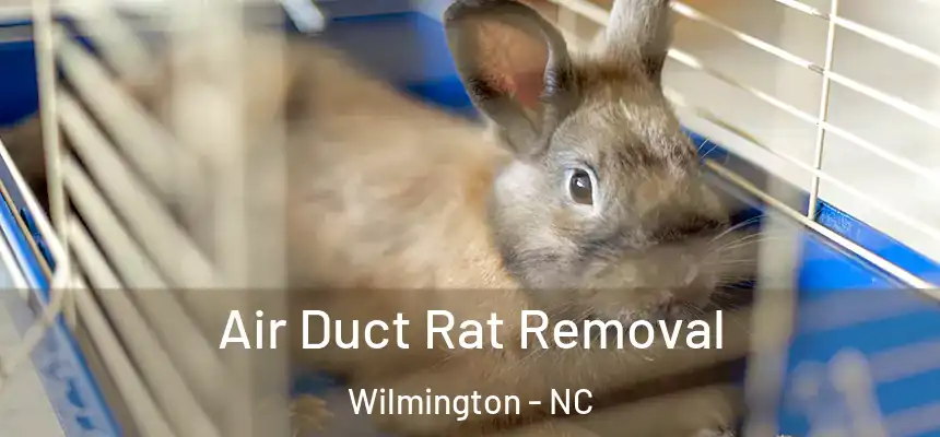 Air Duct Rat Removal Wilmington - NC