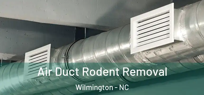 Air Duct Rodent Removal Wilmington - NC