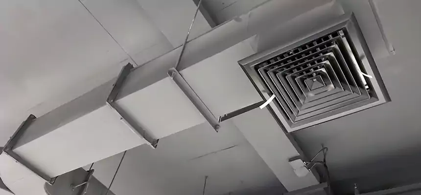 Restorative Allergy Relief Vent Cleaning – Coil, Blower & Housing Detail in Wilmington