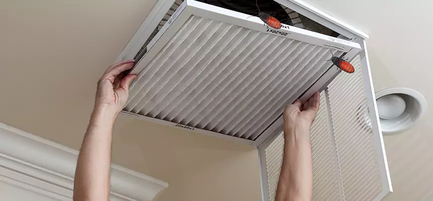 Our Insect Removal from Air Ducts Services in Wilmington, NC