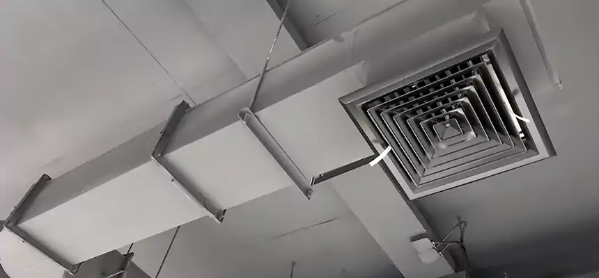 Our Pest Removal From Ducts Services in Wilmington, NC