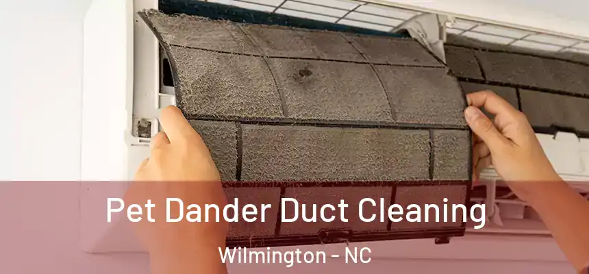 Pet Dander Duct Cleaning Wilmington - NC