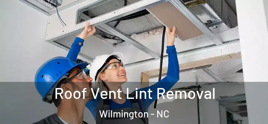 Roof Vent Lint Removal Wilmington - NC
