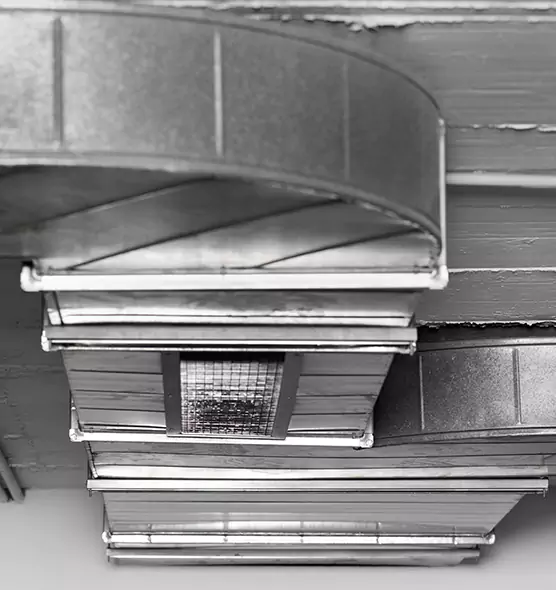 Professional Air Duct Pest Removal in Wilmington, NC