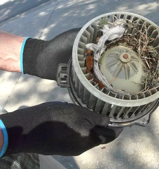 About Air Duct Rat Removal in Wilmington, NC