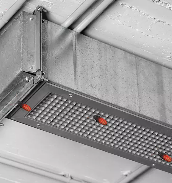 Affordable Insect Removal from Air Ducts in Wilmington, NC