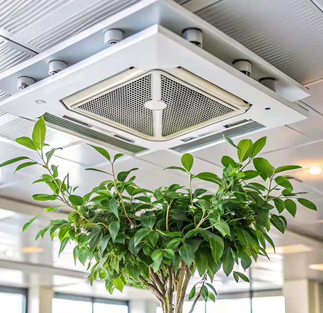 Why Homeowners & Businesses Trust Us in Wilmington, NC