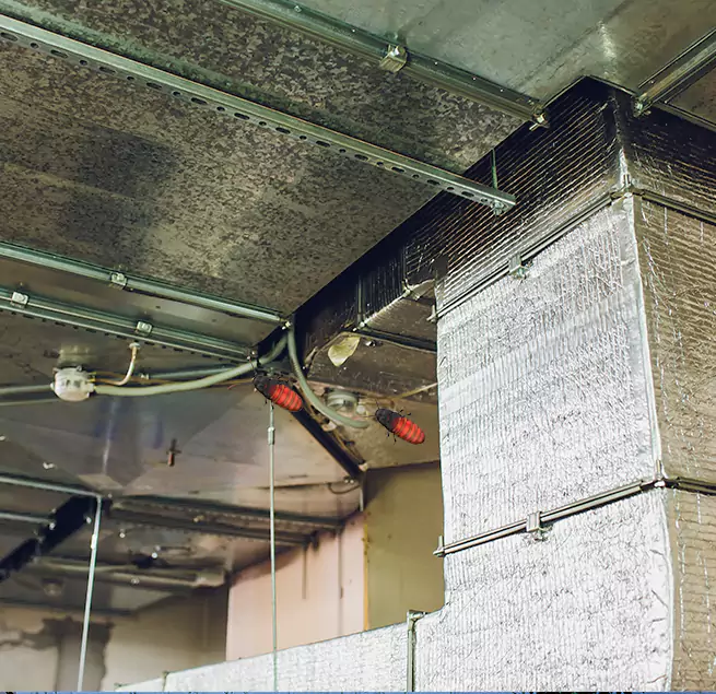 Why Homeowners & Businesses Trust Us Wilmington, NC?